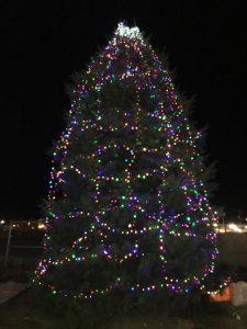 Christmas tree lit up at Boro in Lights