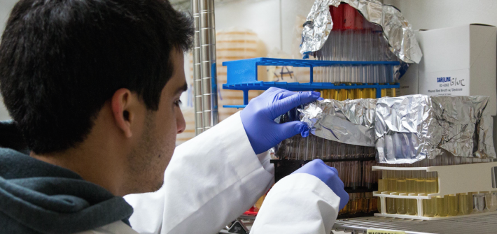 student works in lab