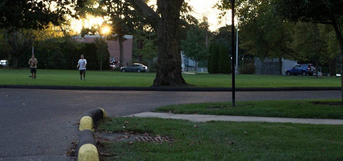 pavement of Bunce Circle with students playing frisbee on grass