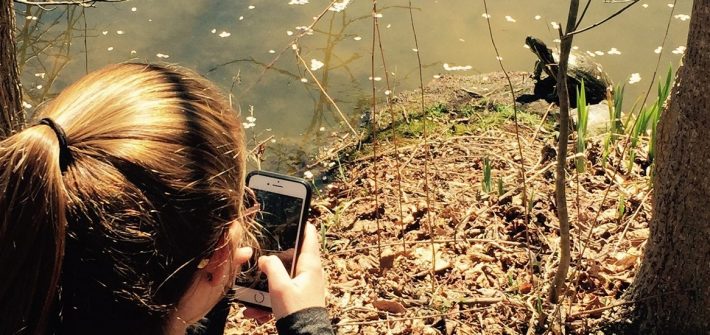 Kelly takes a photograph of a turtle sitting on a rock