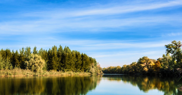 20 Minute Radius: Down the River We Go