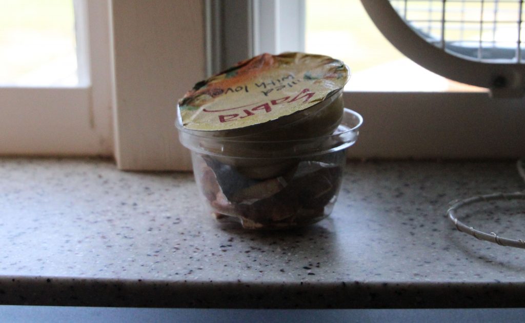 A container of hummus on Kaylin's windowsill. 