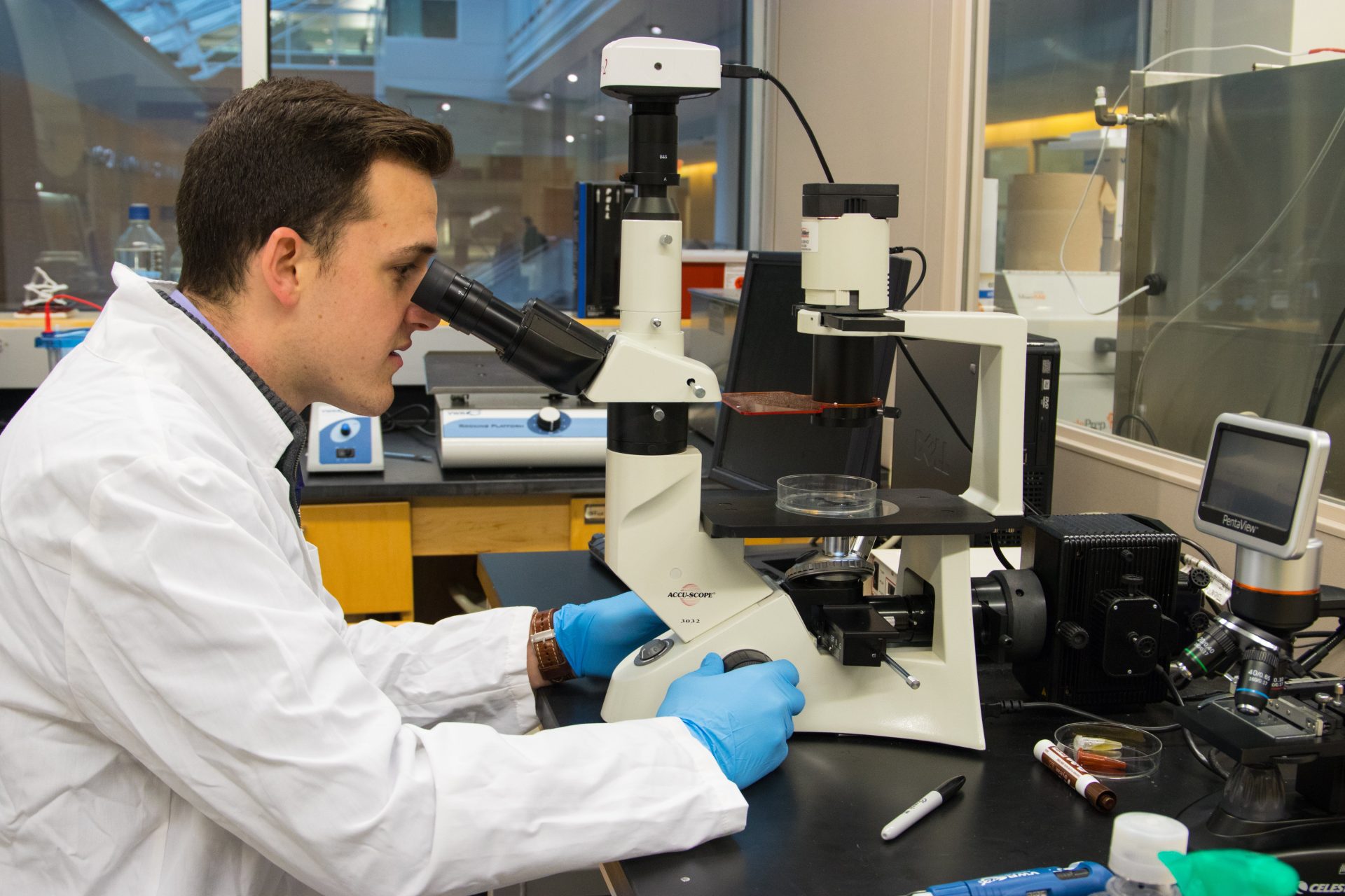 Andrew Milcarek, a Translational Biomedical Sciences major at Rowan University, observes a specimen under a microscope.