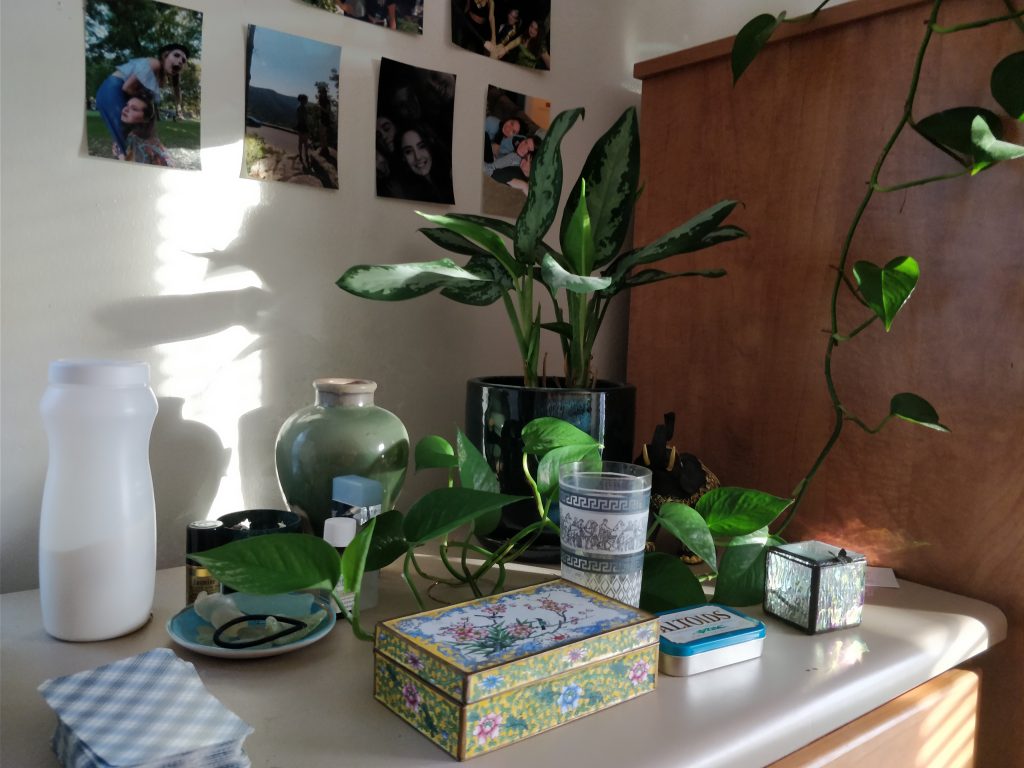 green decorations and plants on a desk in Willow Hall at Rowan University