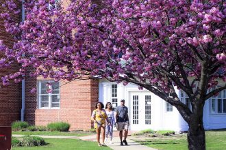 people walking near willow hall under cherry blossom trees