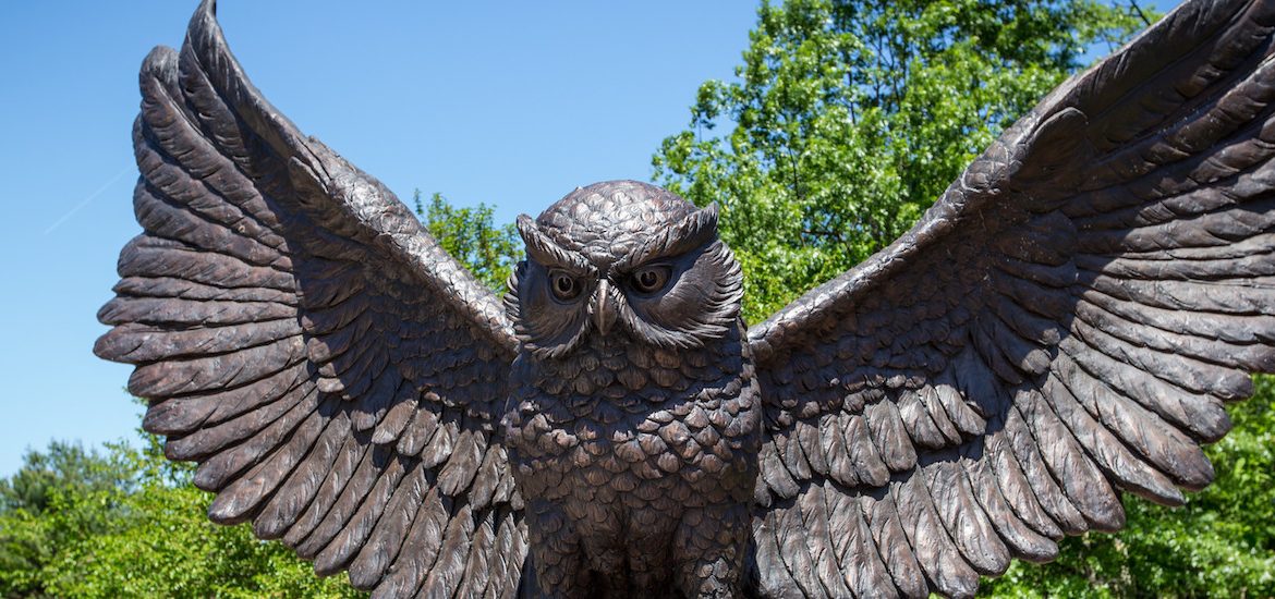 owl statue in center of campus