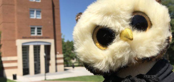 A brown and gold Beanie Boo stuffed animal in front of Rowan Universitys Campbell Library