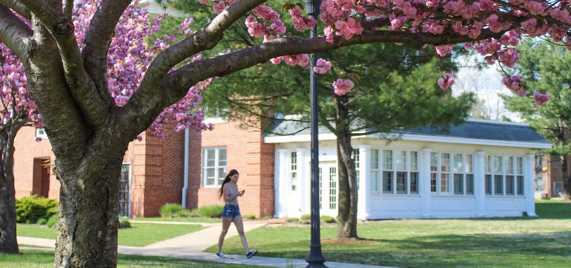 rowan university student walking outside willow hall during spring time