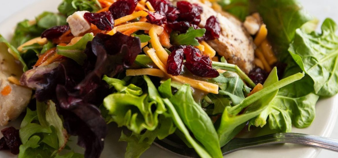 A leafy green salad is on a plate. It is topped with cranberries, grilled chicken, carrots, cheese and a light dressing.