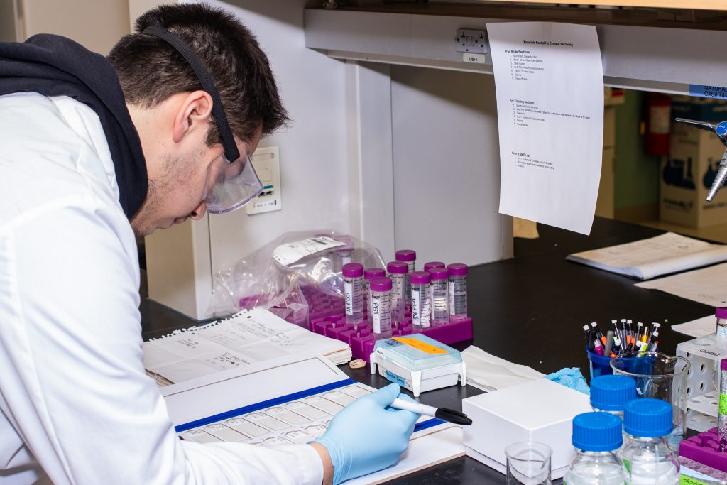 Young male student leaning on lab counter, analyzing tests