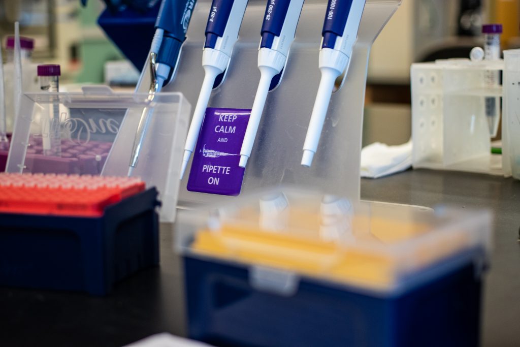 A grouping of four pipettes with a purple-square magnet that says "Keep Calm and Pipette On"
