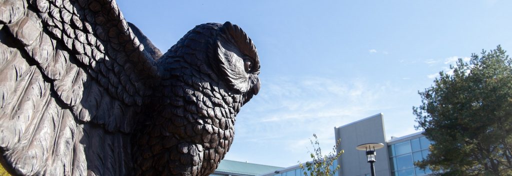 Owl statue with sunlight shining down and blue sky in the background