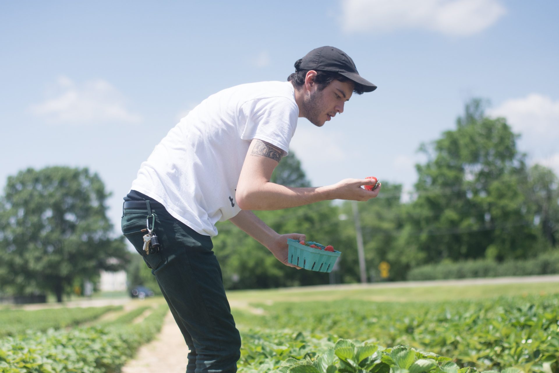 Jayce Williams, a Rowan student, picks his own strawberries at Rowand's 