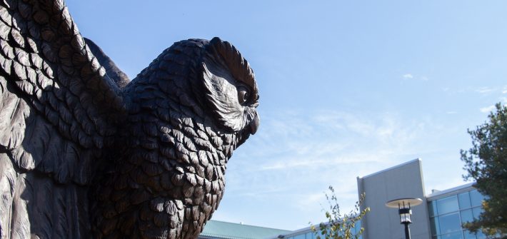 A close up of the owl statue under blue skies