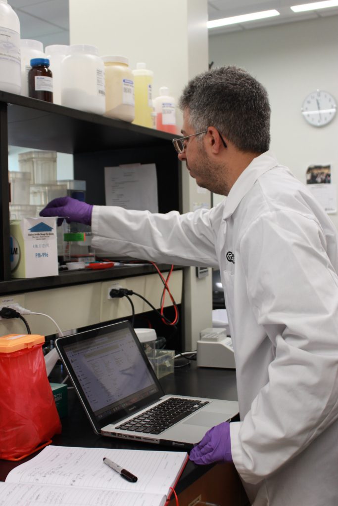 Beyond the Classroom: a Biophysics Lab Experience