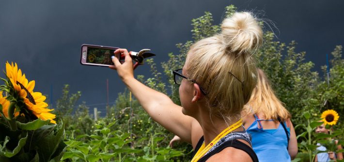 Blonde female student takes a selfie at a sunflower field near Rowan University