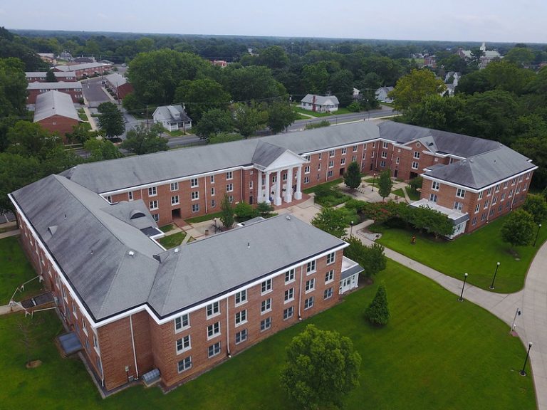 Jeff, President of Chestnut Hall Council, Shares What He Loves…