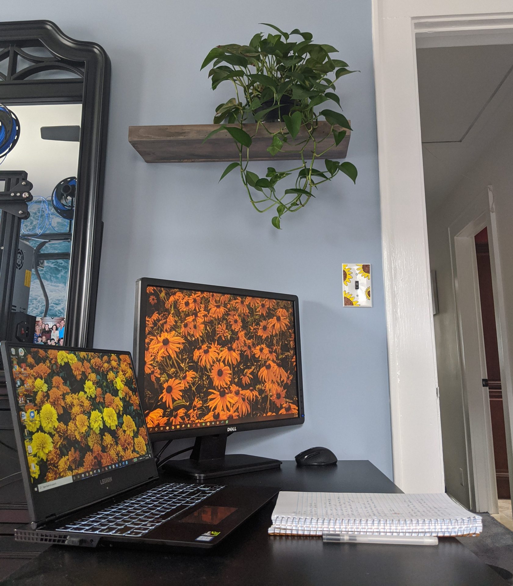 Brittney's home office set up, with two-monitor set up and a plant on a wall ledge.