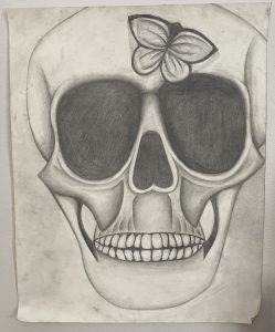 Sketch of human skull with a butterfly on it. 