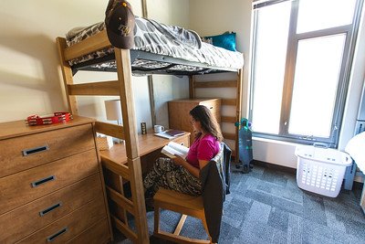 Student studying at a desk under a top bunk bed.