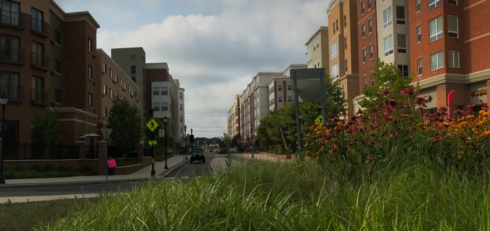 Grassy photo of Whitney Center.