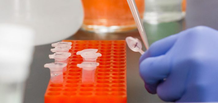 Stock image of biology test tubes