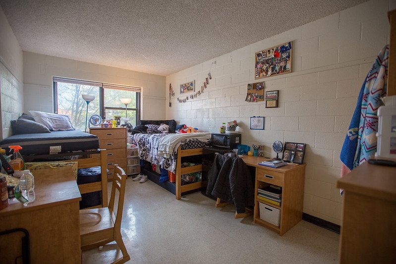 Shared room in Mimosa Hall