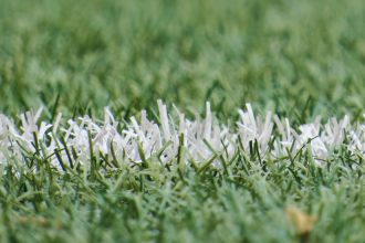 Close-up image of a sports field.