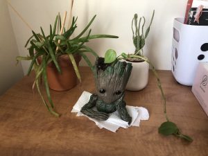 Three green plants sitting on a brown table. There is also a "groot" holding one of the plants.