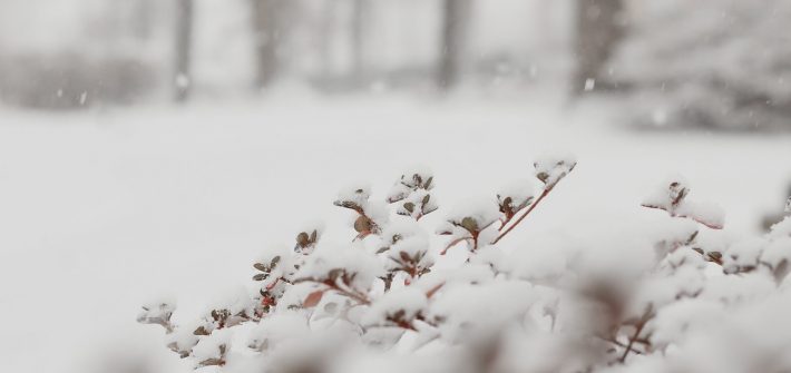 Snowy scene on campus.