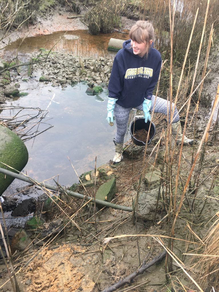 Madison carrying a bucket near a body of water.