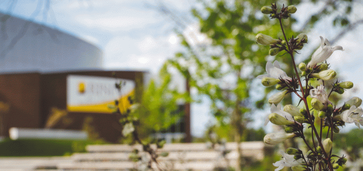 Outdoor photo of campus with Wilson Hall in the background.