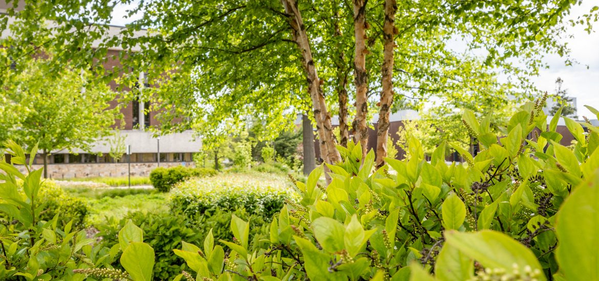 Exterior shot of greenery on Rowan's campus.