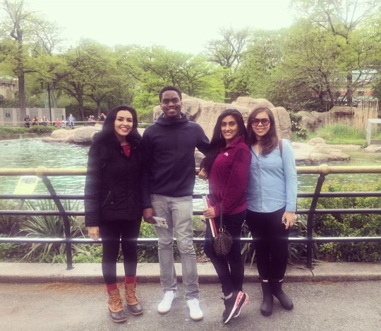 2018 Bronx Zoo trip with NYU PRCC classmates.