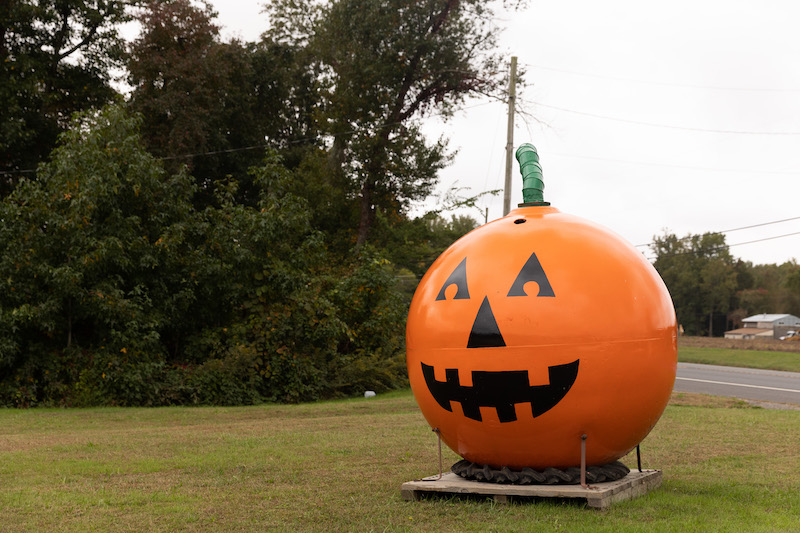 Giant pumpkin outside Mood's Farm.