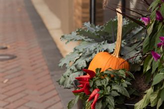 Fall themed decorations in Pitman.