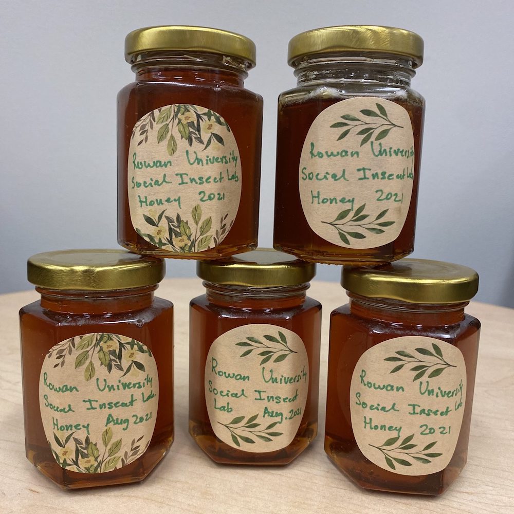 Jars of Beekeeping Club honey packaged for sale.