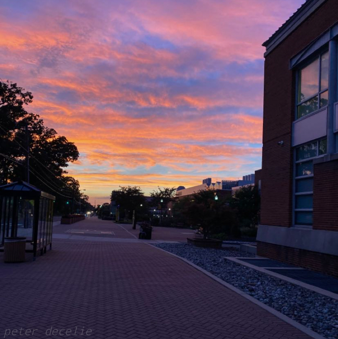 A Rowan walkway at sunset.