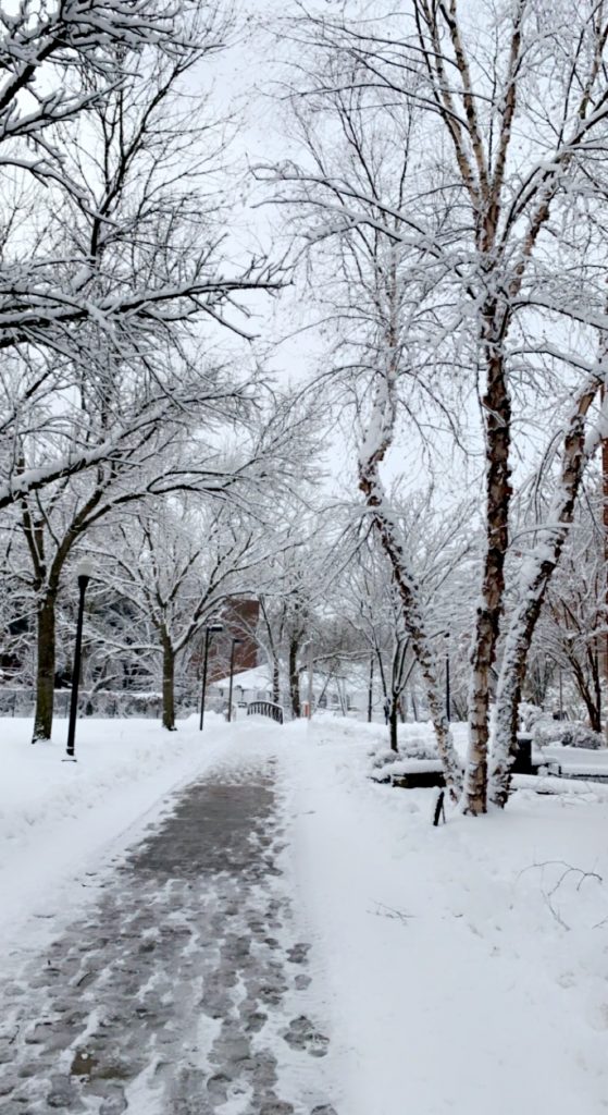 A snowy scene in a wooded area on campus.