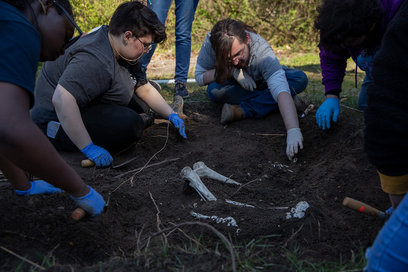 Archie Katz (second from left) digging through dirt to find evidence with classmates. 