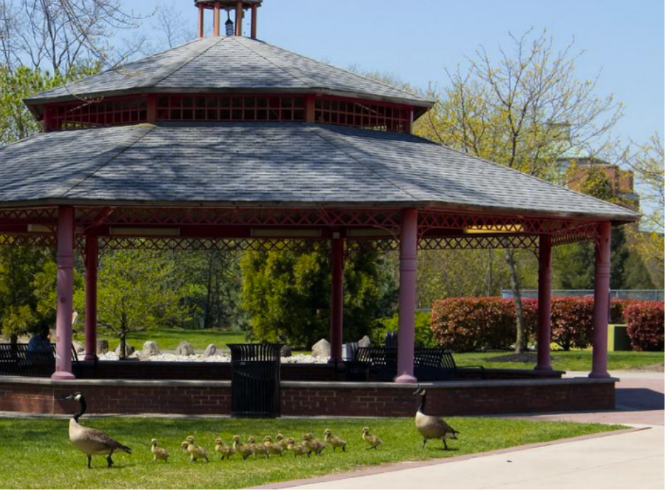 Geese in a line in front of a red gazebo.