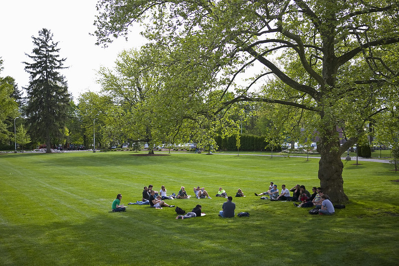 A group of students soaking up the beauty of Bunce Green.