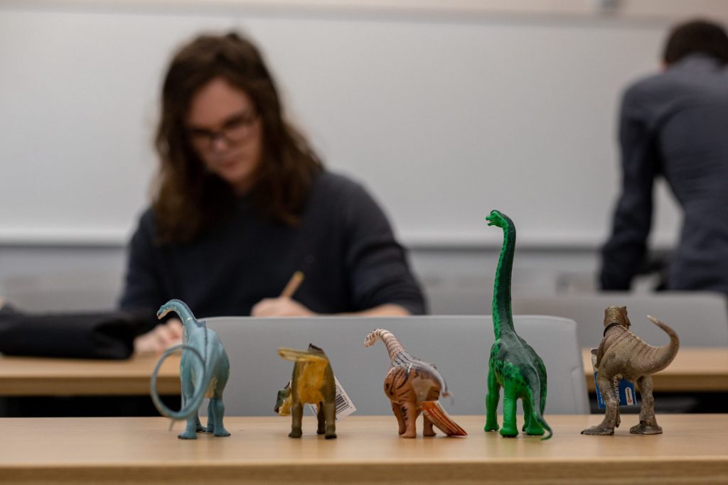 A Rowan University student engrossed in work, with a line of toy dinosaurs in front of him. 