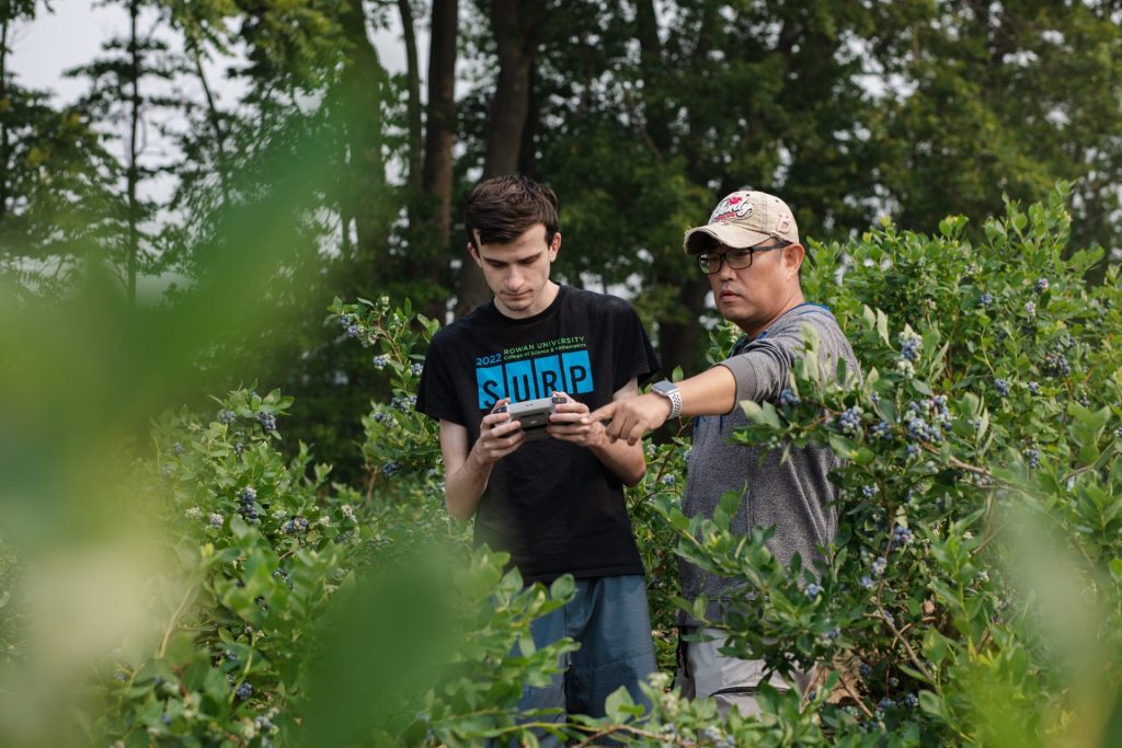 A Rowan University faculty and student work in a blueberry field for research.