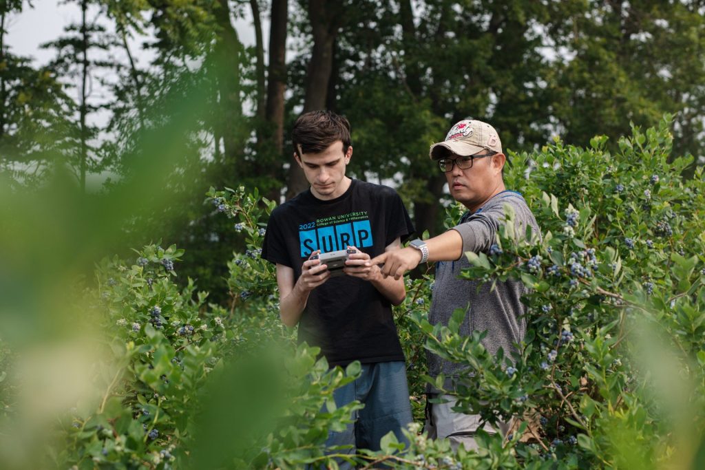 A Rowan University faculty and student work in a blueberry field for research.