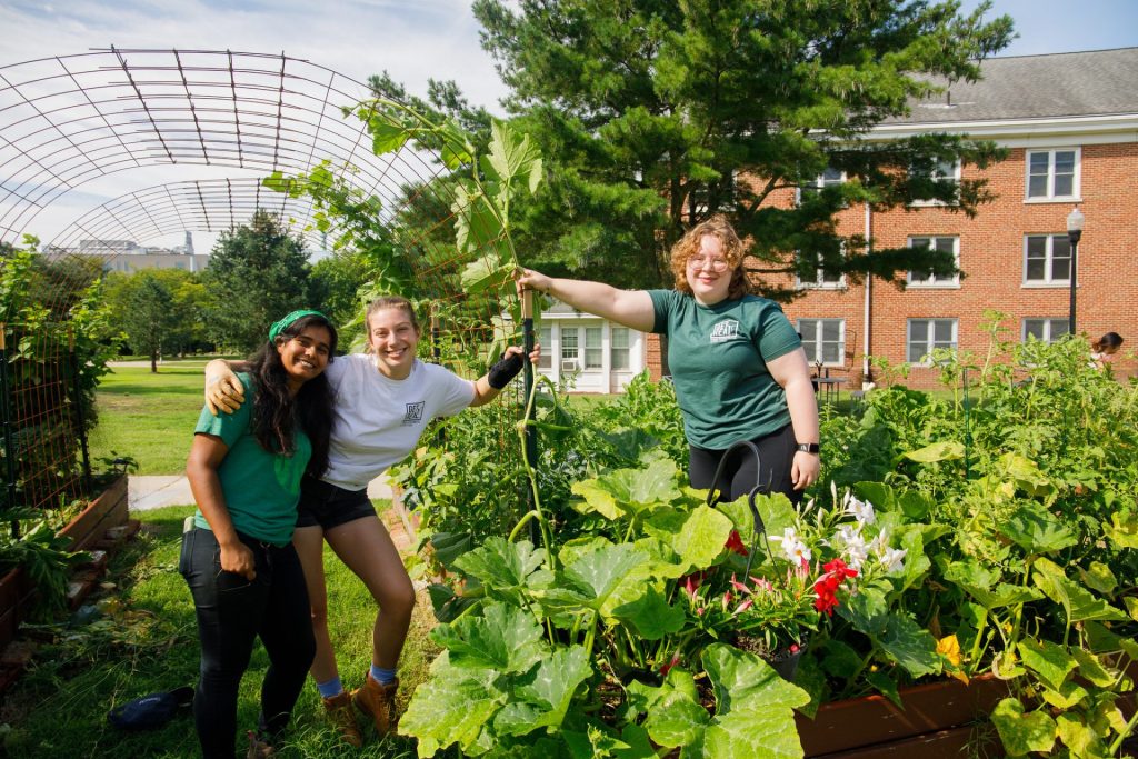 Three Rowan University students work in the community garden. 