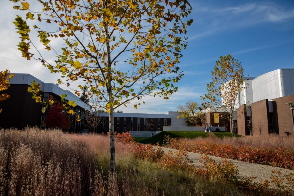 A young tree outside of Wilson Hall. 