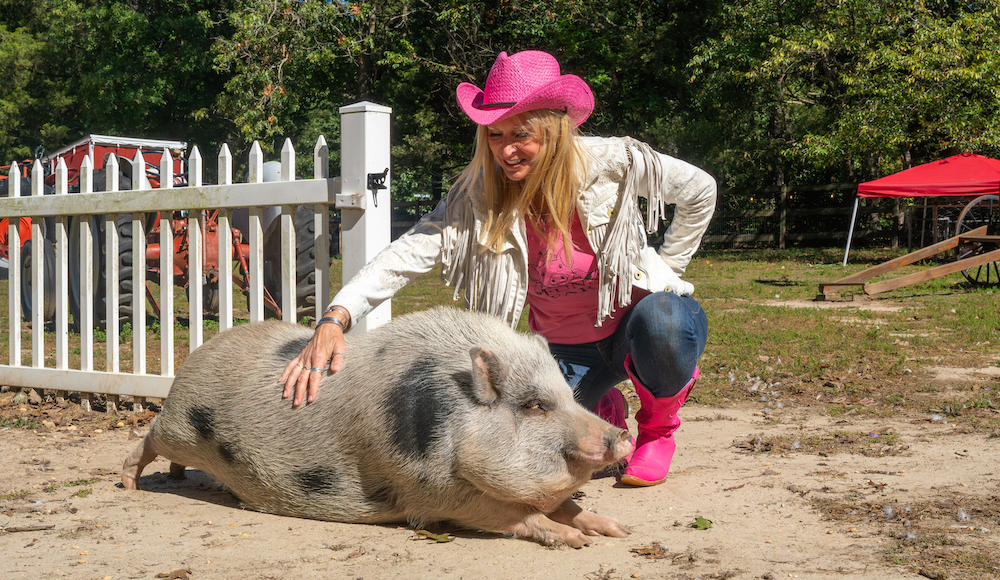 Laurie squats down to pet a very large pig. 
