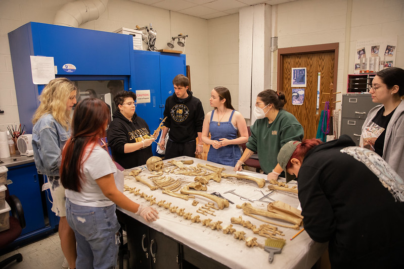 A small class of anthropology majors examines a human skeleton on a table. 